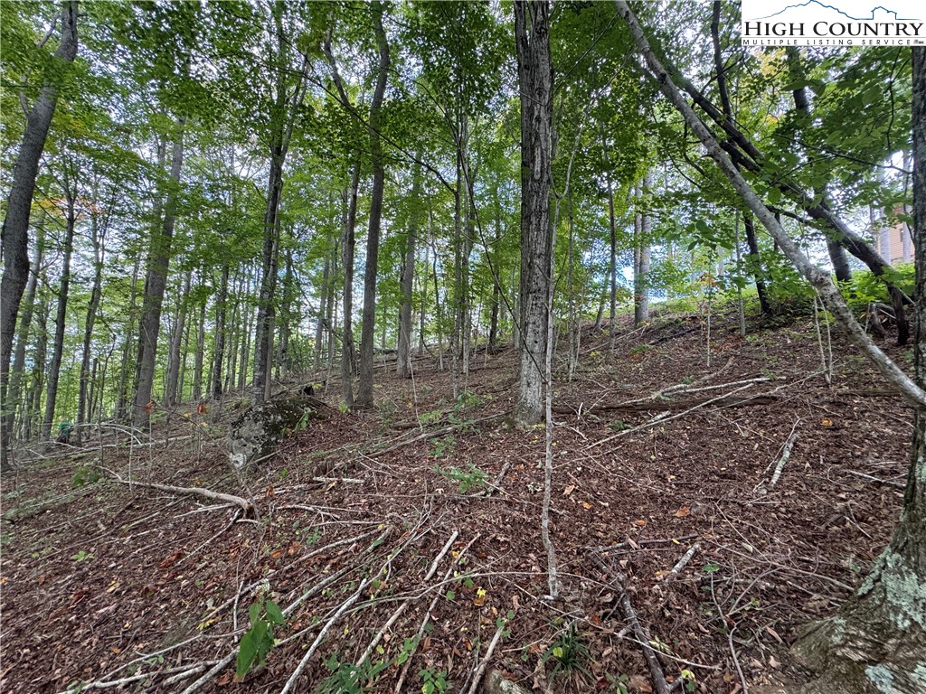 Bear Paw Road Elk Park, NC 28622 - Photo 5 of 19 a view of a yard with lots of trees