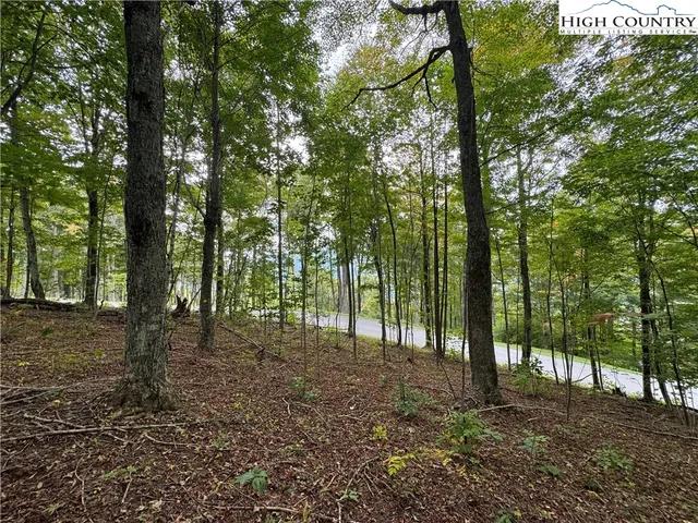 a view of outdoor space and trees
