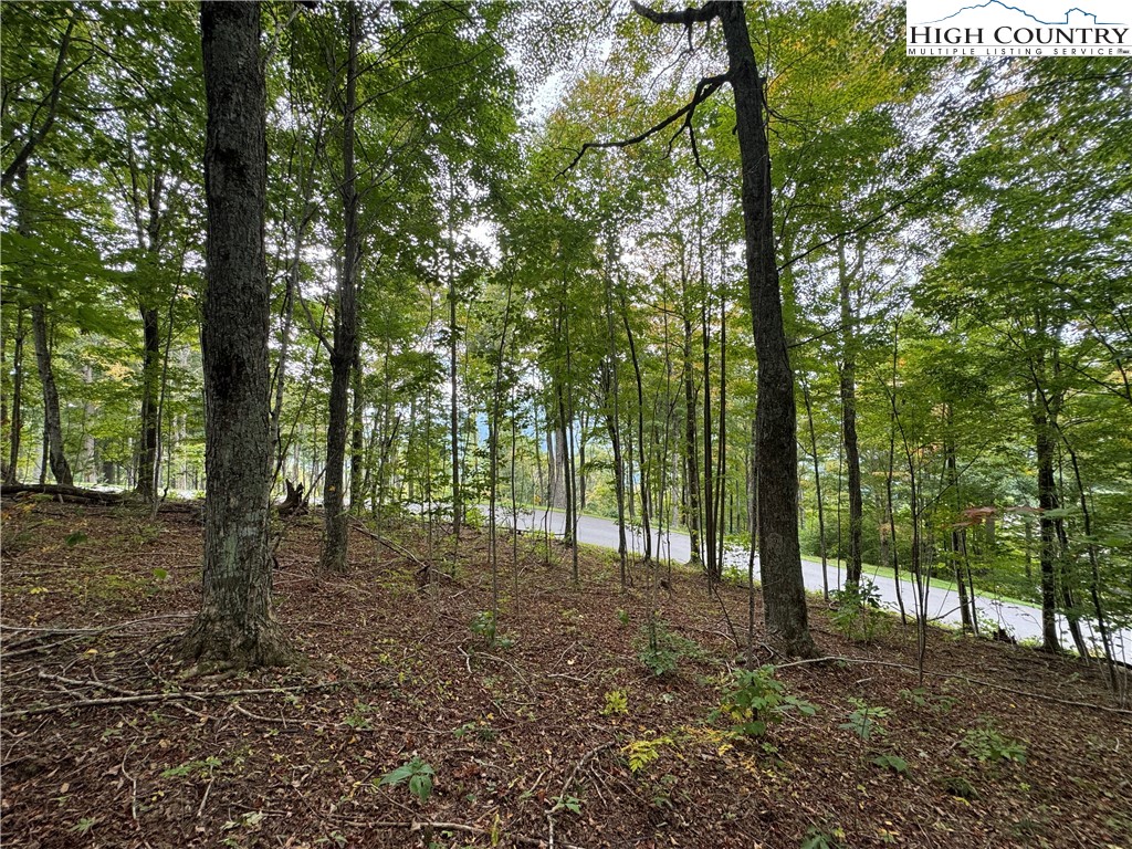 Bear Paw Road Elk Park, NC 28622 - Photo 6 of 19 a view of outdoor space and trees