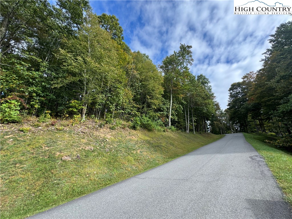 Bear Paw Road Elk Park, NC 28622 - Photo 8 of 19 a view of a yard with plants and trees