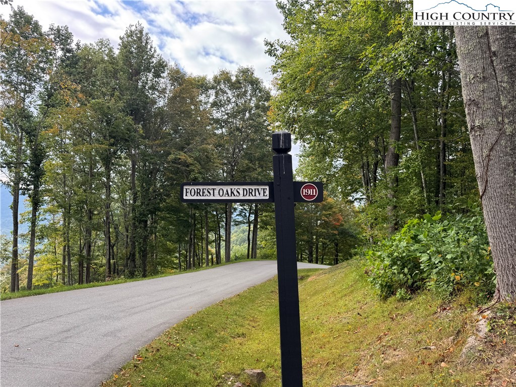 Bear Paw Road Elk Park, NC 28622 - Photo 9 of 19 a sign board with tall trees