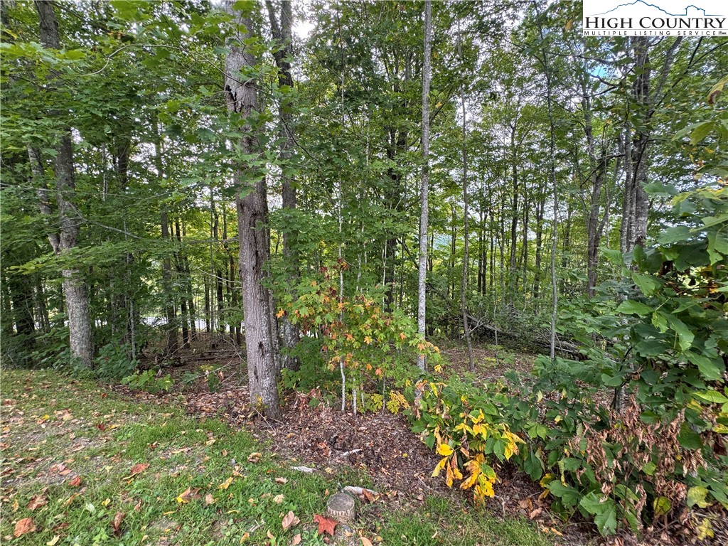 Bear Paw Road Elk Park, NC 28622 - Photo 10 of 19 a view of a forest with trees