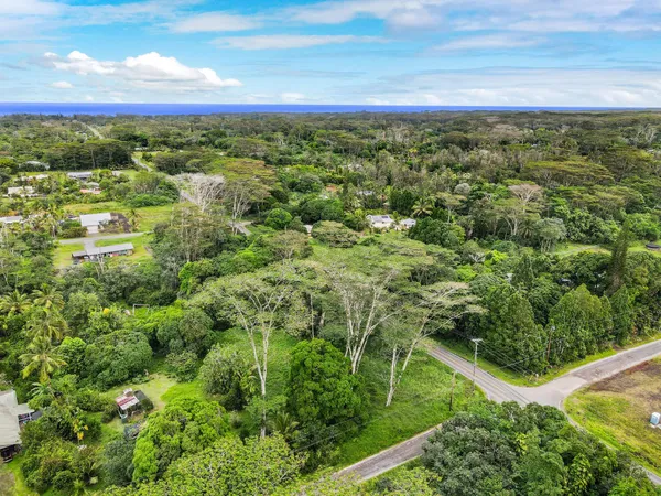 a view of a green field with lots of bushes