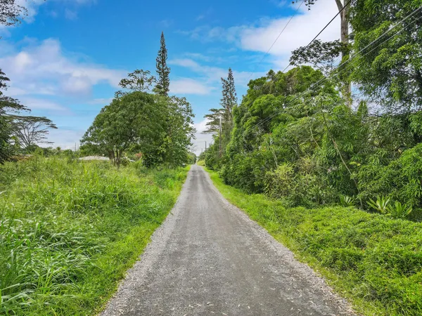 a view of a pathway with a yard