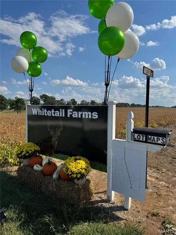 $159,500 | 998 Josephville Road, Wentzville, MO 63385