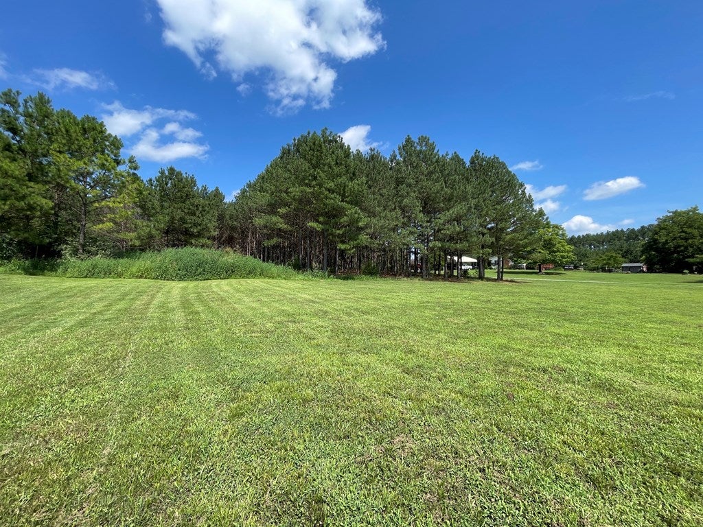 Deer Run Road Blackstone, VA 23824 - Photo 9 of 17 Gallery Image 9