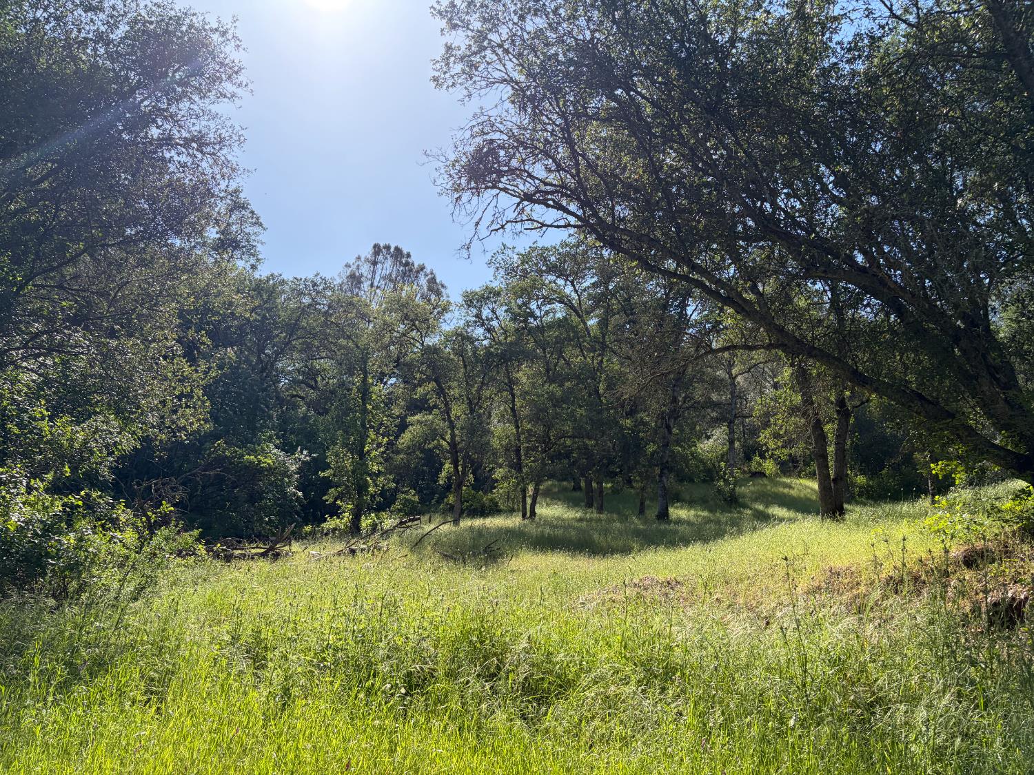 0 Spring Valley Road Plymouth, CA 95669 - Photo 11 of 23 a view of outdoor space and yard