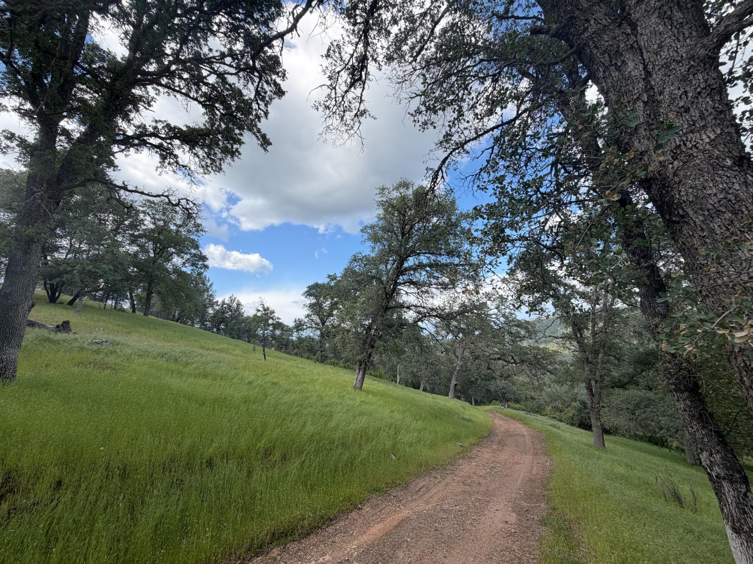 0 Spring Valley Road Plymouth, CA 95669 - Photo 12 of 23 a view of a grassy field with trees around