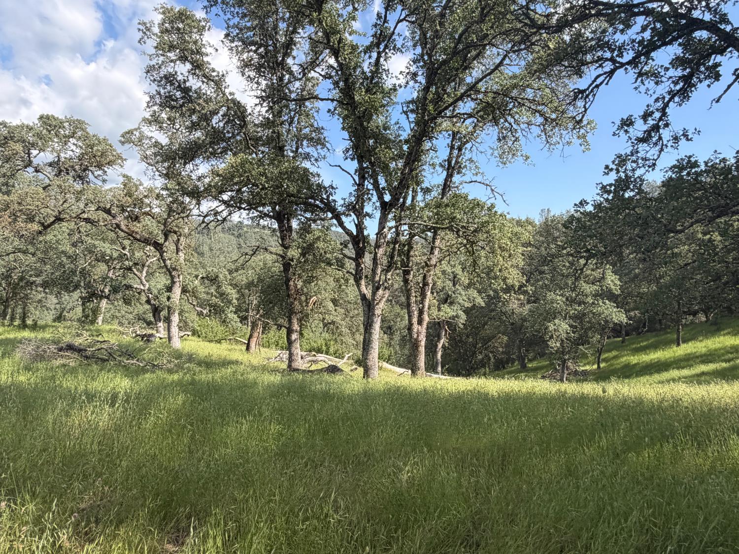 0 Spring Valley Road Plymouth, CA 95669 - Photo 19 of 23
