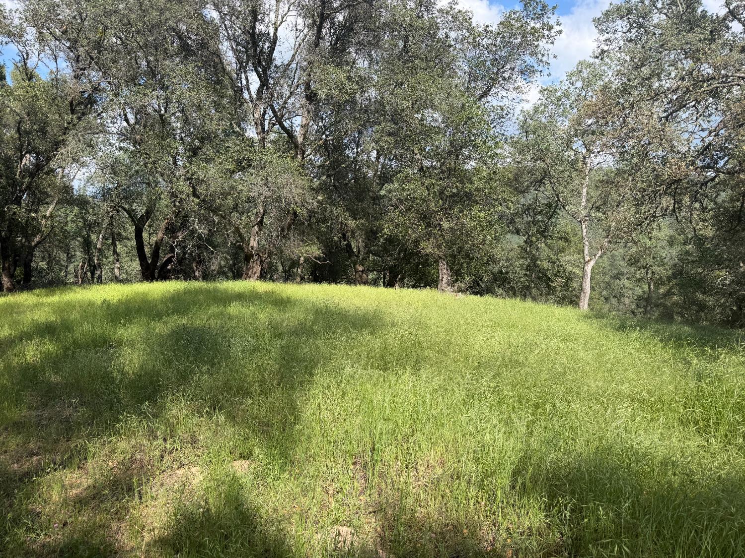 0 Spring Valley Road Plymouth, CA 95669 - Photo 20 of 23 a view of an outdoor space with a lake view
