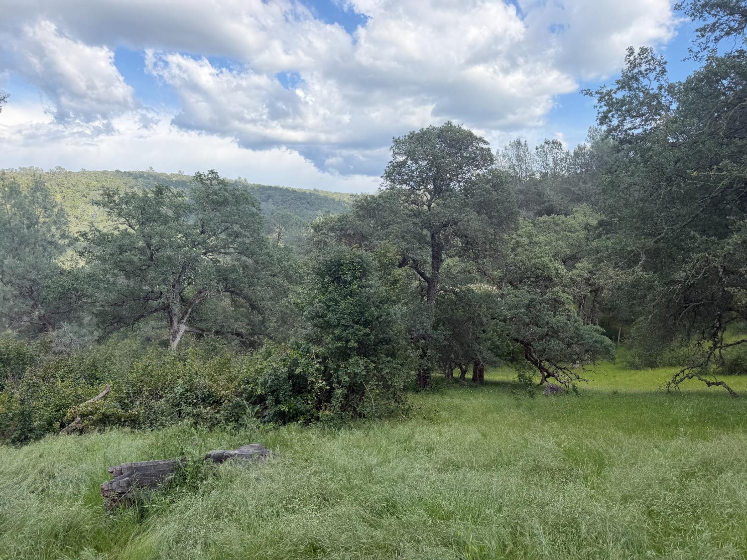 0 Spring Valley Road Plymouth, CA 95669 - Photo 21 of 23 a view of a green field