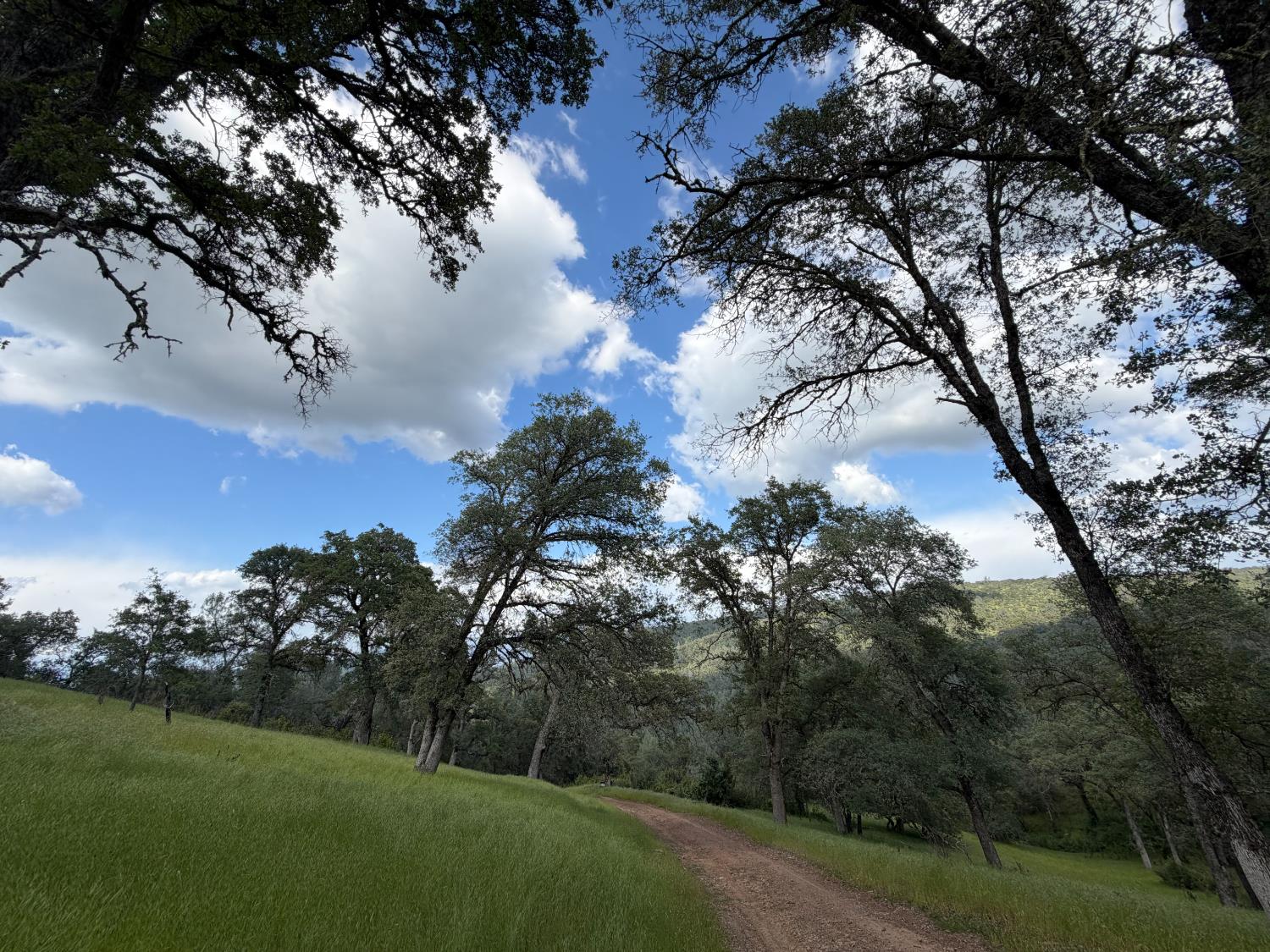 0 Spring Valley Road Plymouth, CA 95669 - Photo 9 of 23 a view of a city with lush green forest