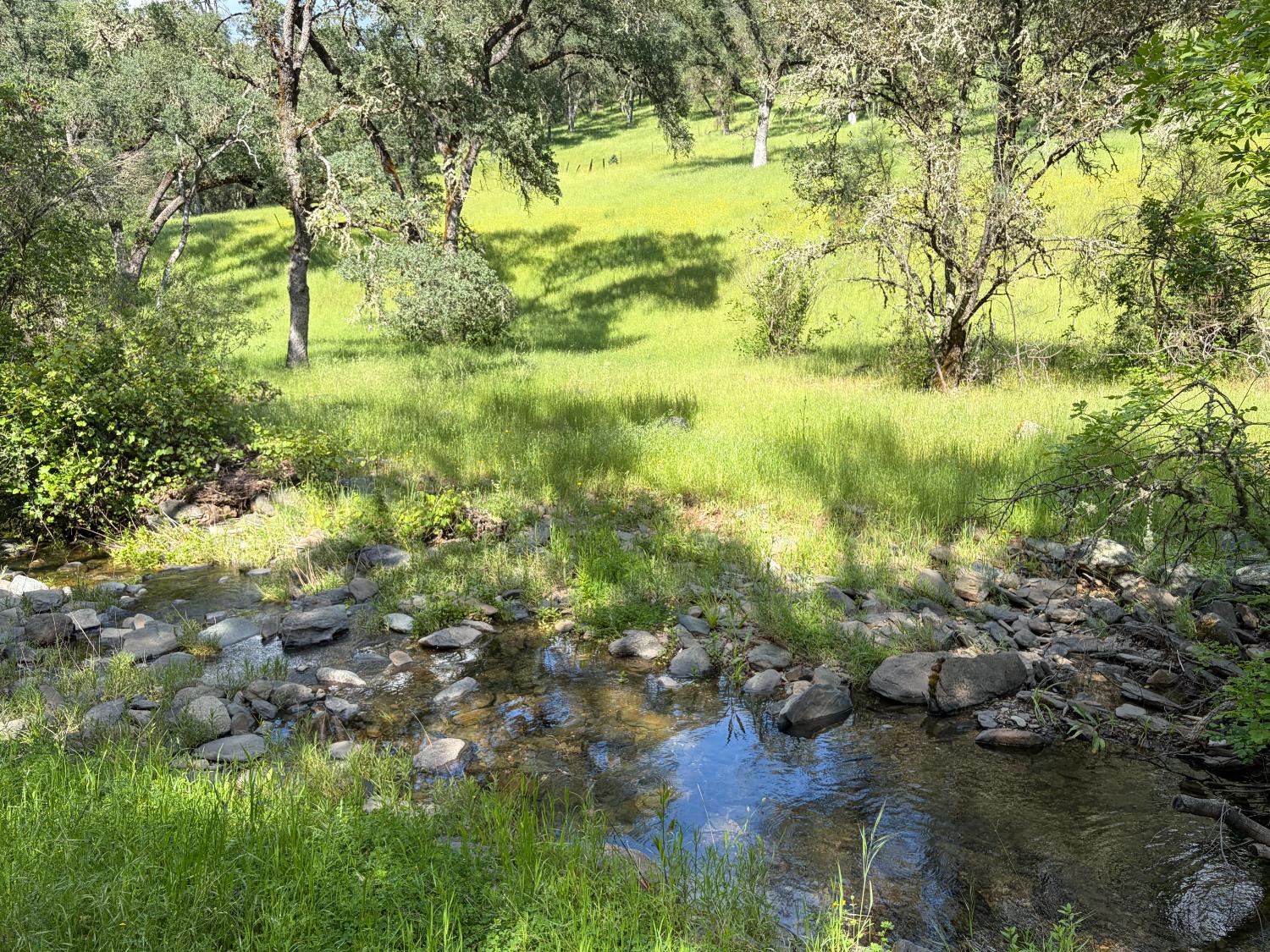 0 Spring Valley Road Plymouth, CA 95669 - Photo 10 of 23 a view of a yard with a tree