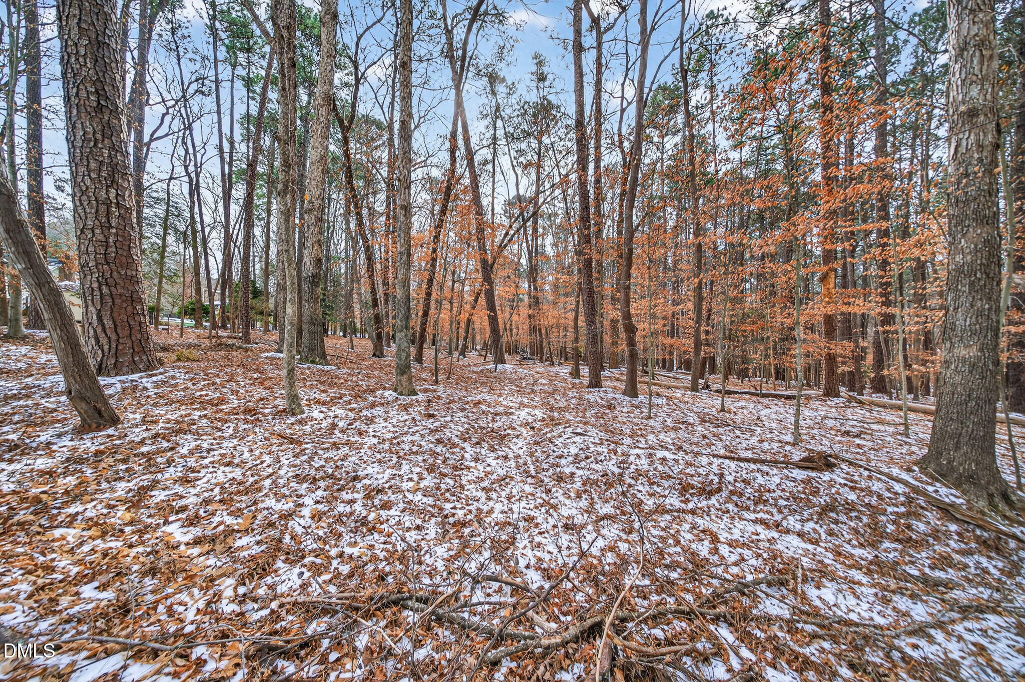 11505 Burberry Drive Raleigh, NC 27614 - Photo 68 of 80 70-web-or-mls-11505 Burberry-67