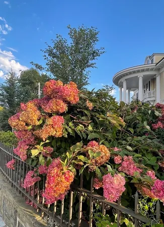 $2,395,000 | 62 Pond Street, Boston, MA 02130