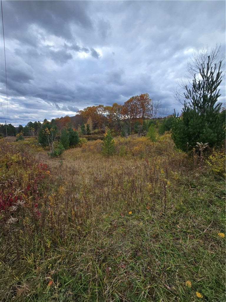 Hardknocks Road Unadilla, NY 13849 - Photo 12 of 16