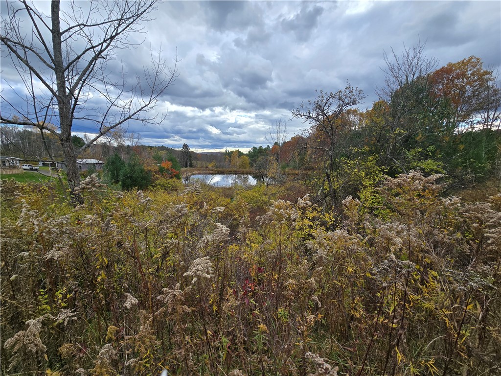 Hardknocks Road Unadilla, NY 13849 - Photo 13 of 16