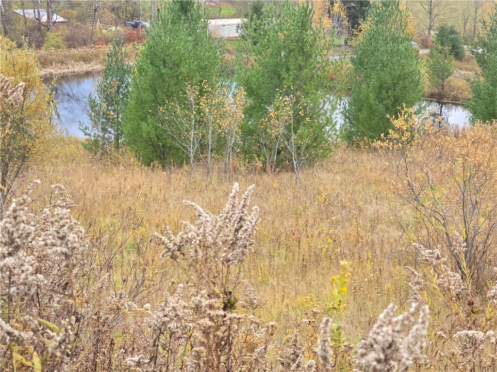 Hardknocks Road Unadilla, NY 13849 - Photo 15 of 16