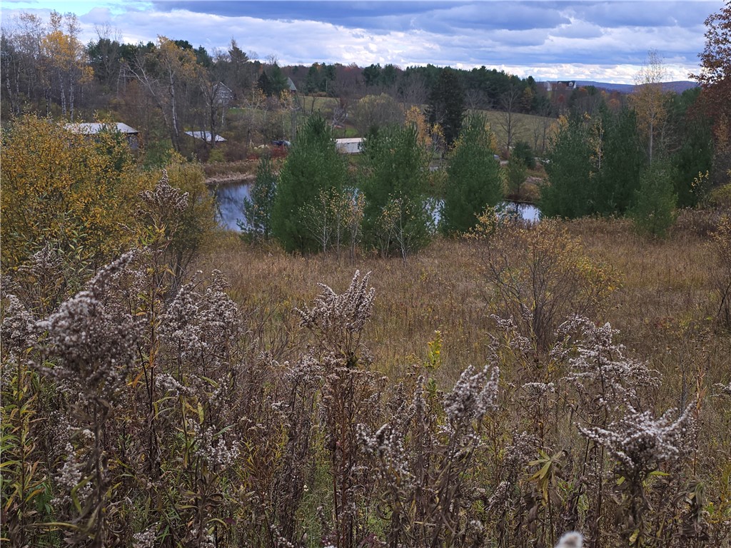 Hardknocks Road Unadilla, NY 13849 - Photo 16 of 16