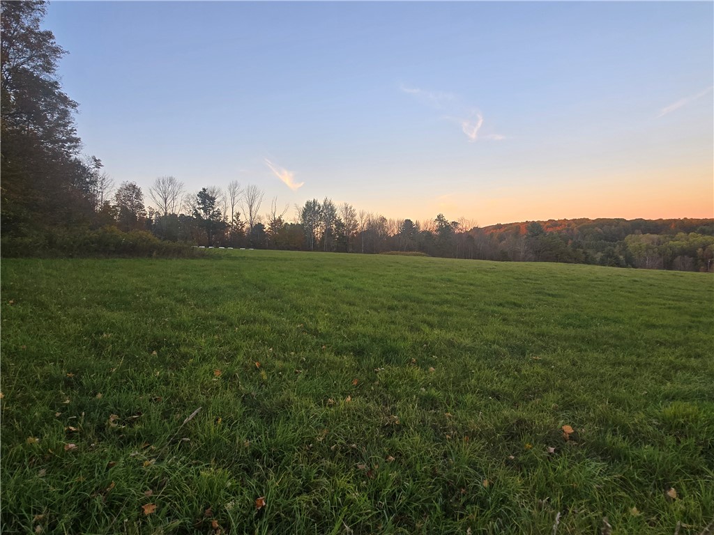 Hardknocks Road Unadilla, NY 13849 - Photo 2 of 16