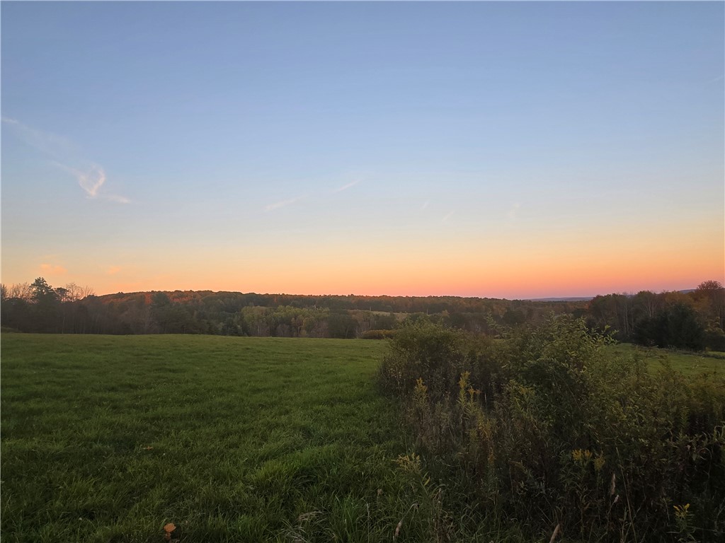 Hardknocks Road Unadilla, NY 13849 - Photo 3 of 16