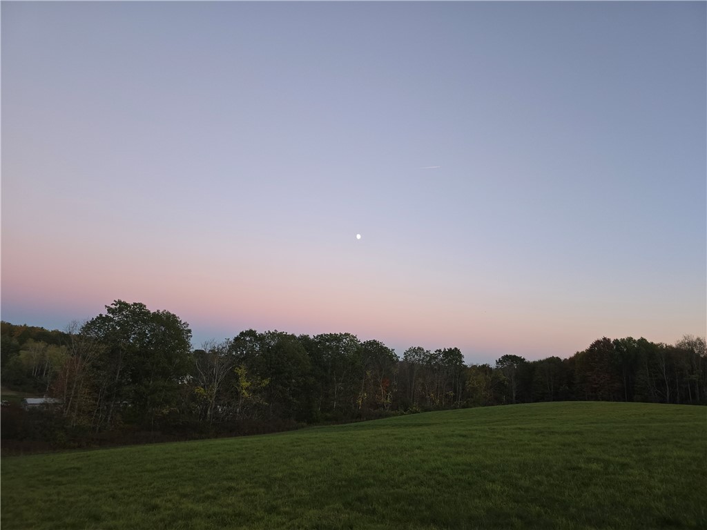 Hardknocks Road Unadilla, NY 13849 - Photo 6 of 16