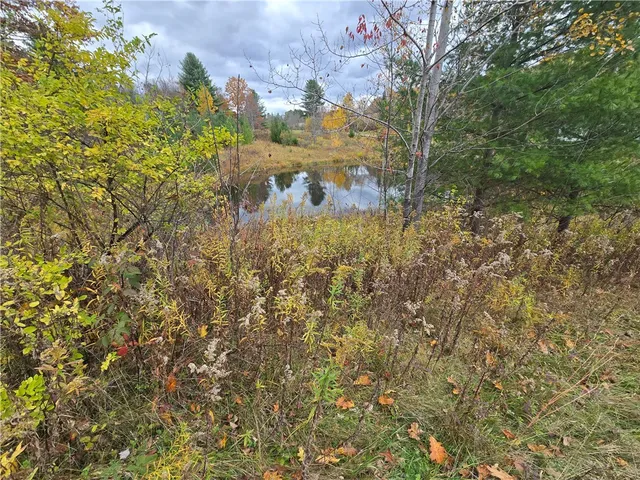 $110,000 | Hardknocks Road, Unadilla, NY 13849