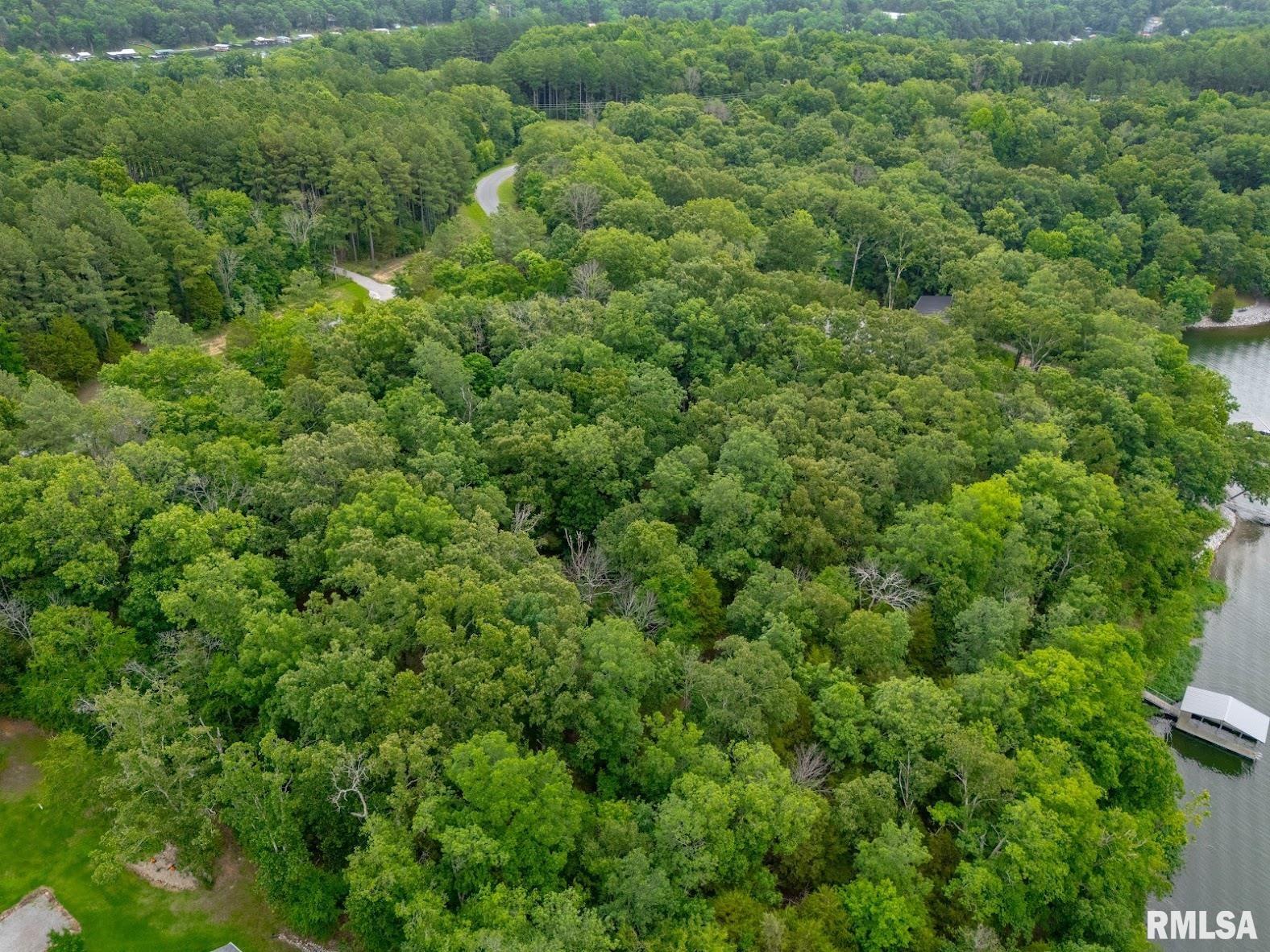 Lot 164 Parrish Ridge Lane Goreville, IL 62939 - Photo 10 of 17
