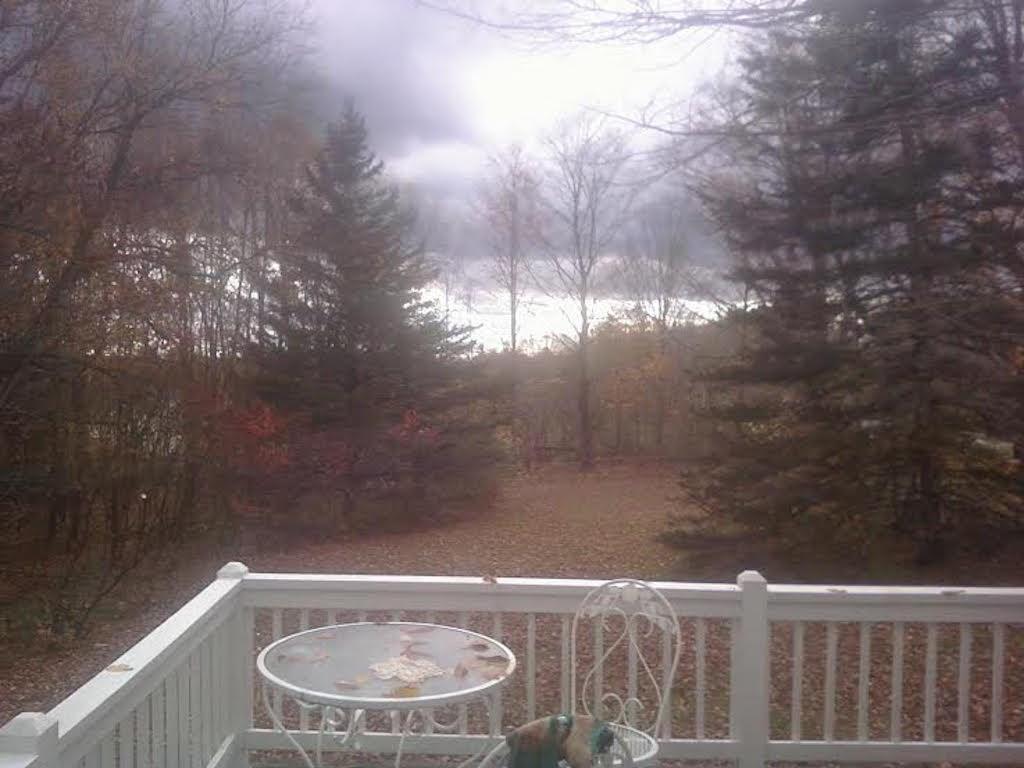 362 Middle Road Fairfield, ME 04937 - Photo 28 of 28 Pond View