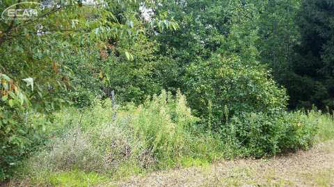 9677 Tuscola Road Clio, MI 48420 - Photo 76 of 76 20434492-75.JPG