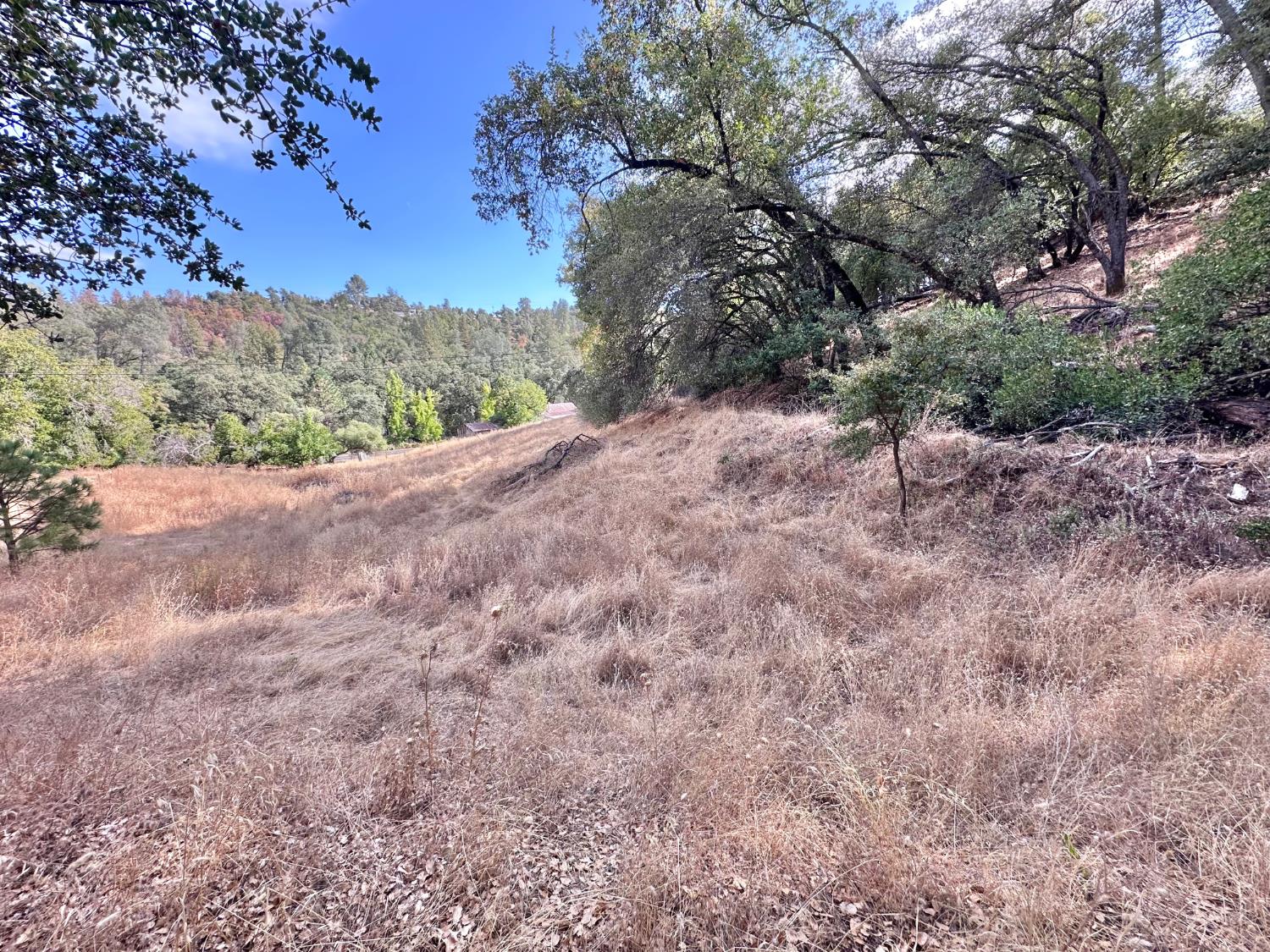 3280 Murphys Grade Road Murphys, CA 95247 - Photo 54 of 57 Gallery Image 54