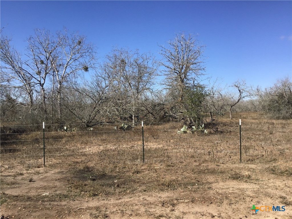77 Country Acres Prairie Gonzales, TX 78629 - Photo 3 of 5 a view of a yard with a tree