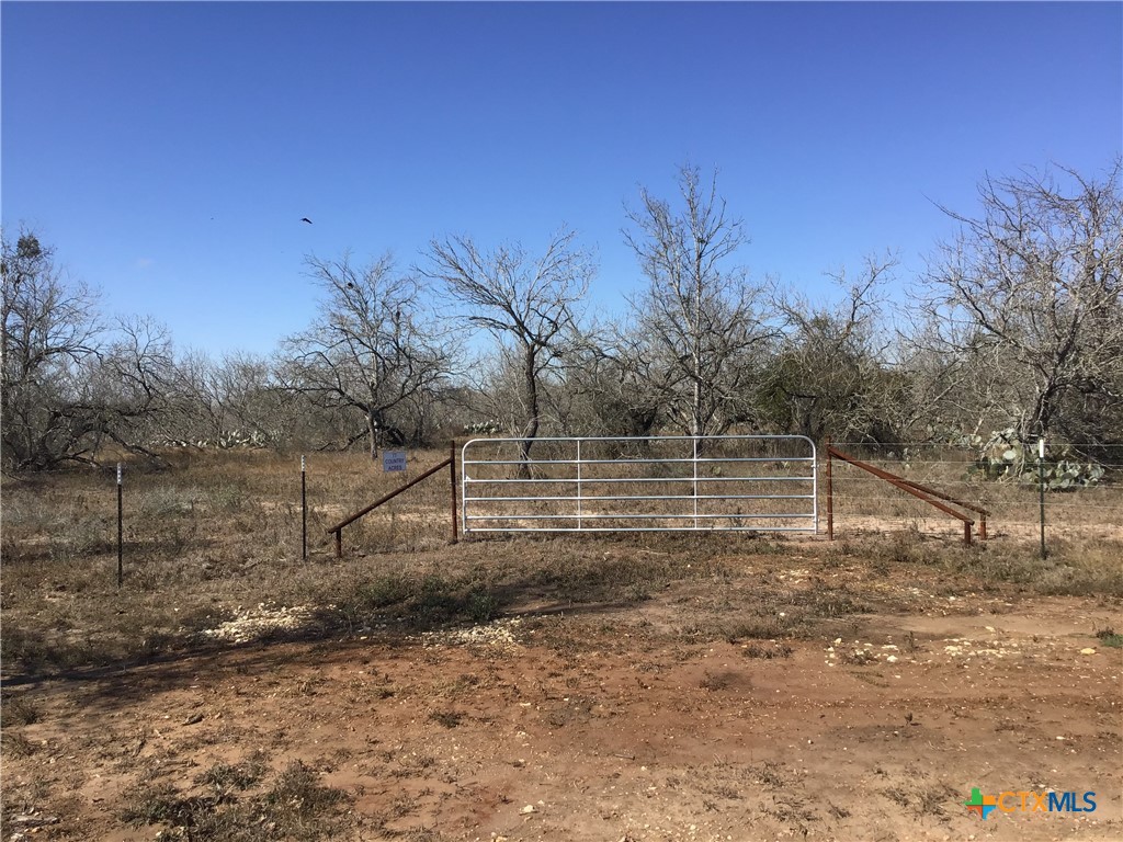 77 Country Acres Prairie Gonzales, TX 78629 - Photo 5 of 5 a view of backyard with green space