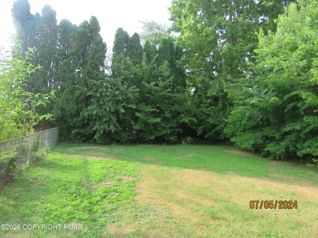 a view of a trees with a yard