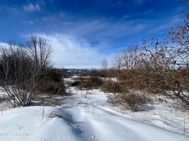 $32,000 | L15.2 Cross Hill Road, Richmondville, NY 12149