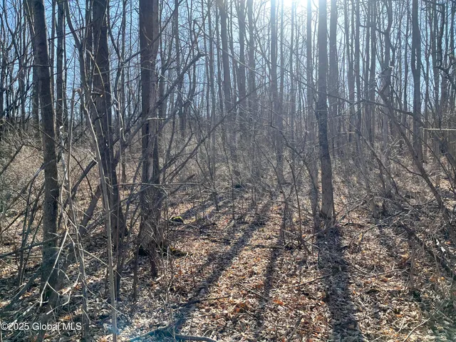 $32,000 | L15.2 Cross Hill Road, Richmondville, NY 12149