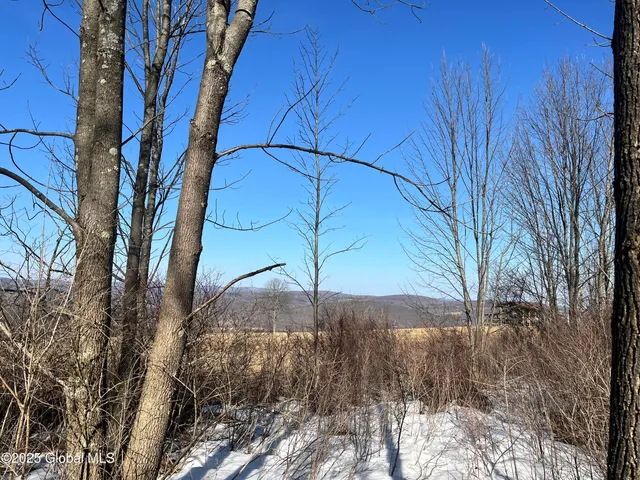 $32,000 | L15.2 Cross Hill Road, Richmondville, NY 12149