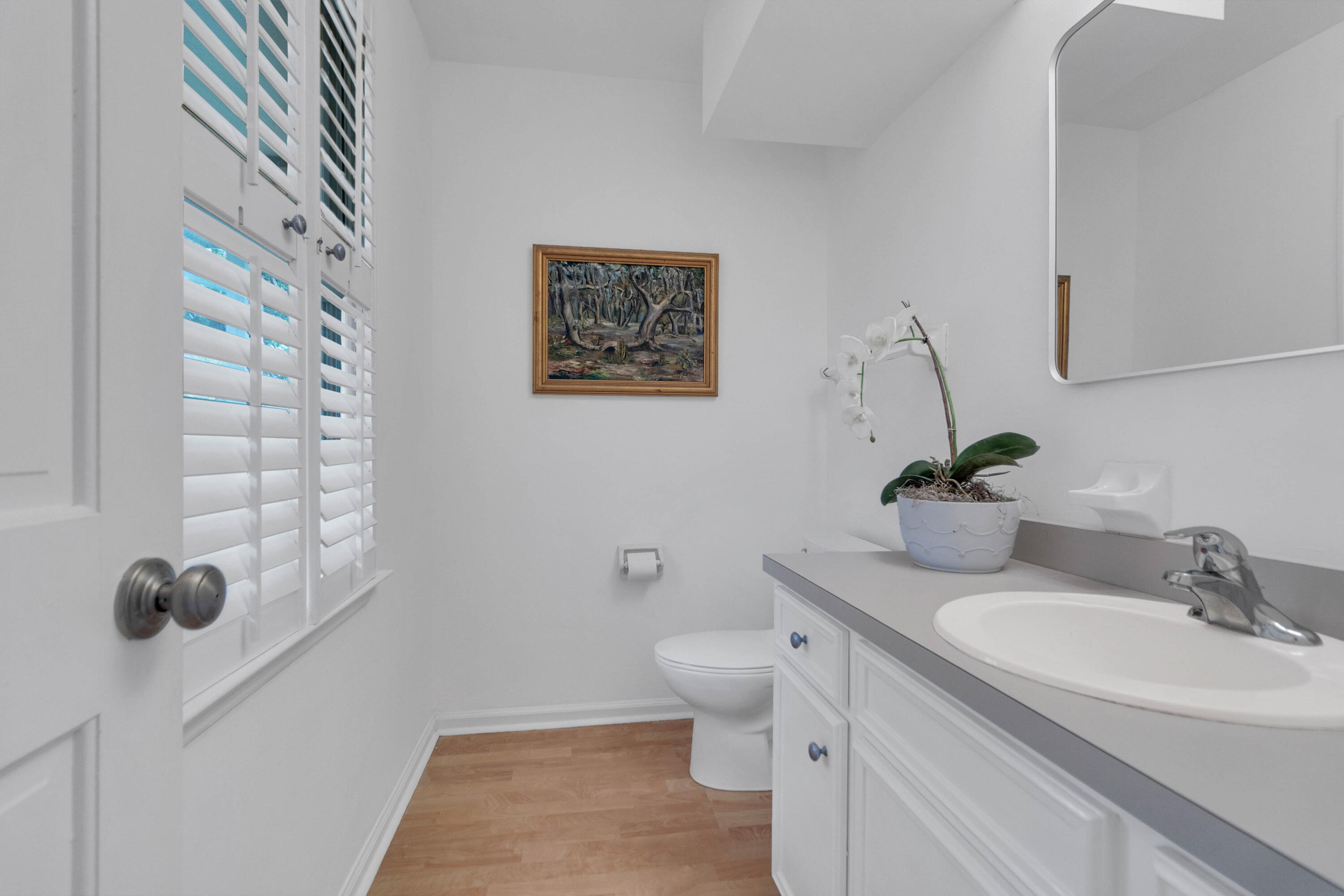 670 Poaug Lane Mount Pleasant, SC 29464 - Photo 13 of 36 Powder Room