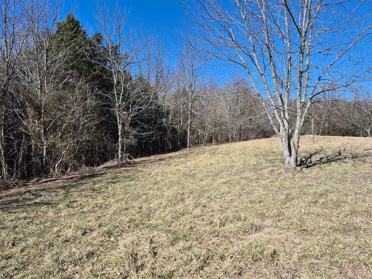925 Hopewell Church Road Canmer, KY 42722 - Photo 5 of 10 Gallery Image 5
