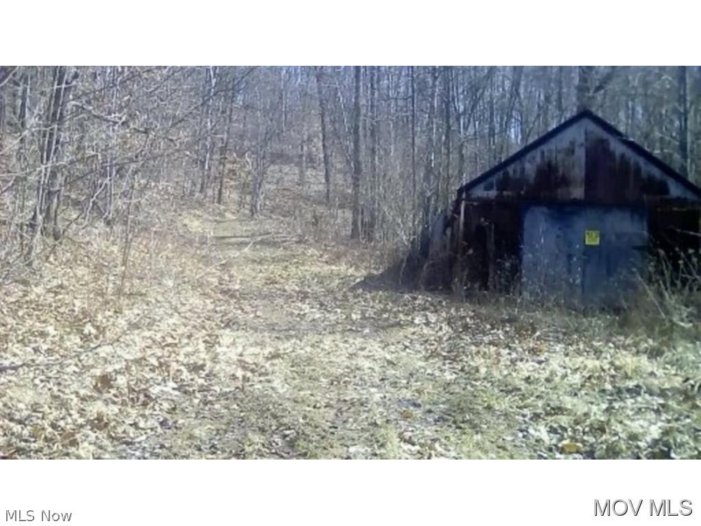 0 Creighton Ridge Road Lower Salem, OH 45745 - Photo 4 of 5