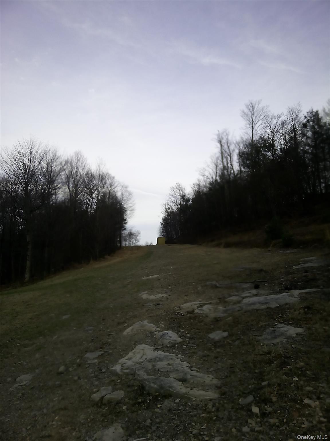 Gibber Road Kiamesha Lake, NY 12751 - Photo 2 of 5
