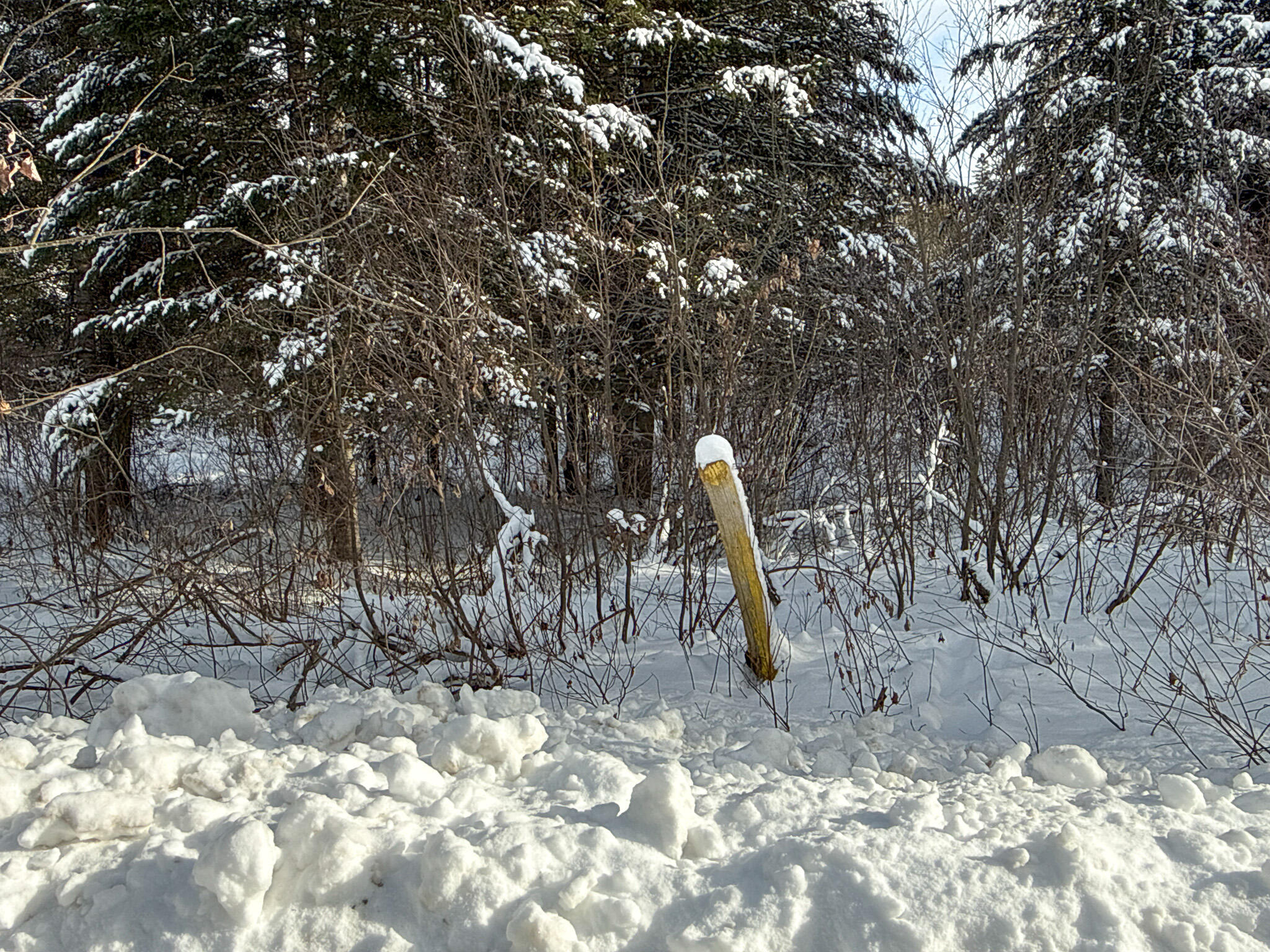 773 Wrightville Road Ashland, ME 04732 - Photo 12 of 21
