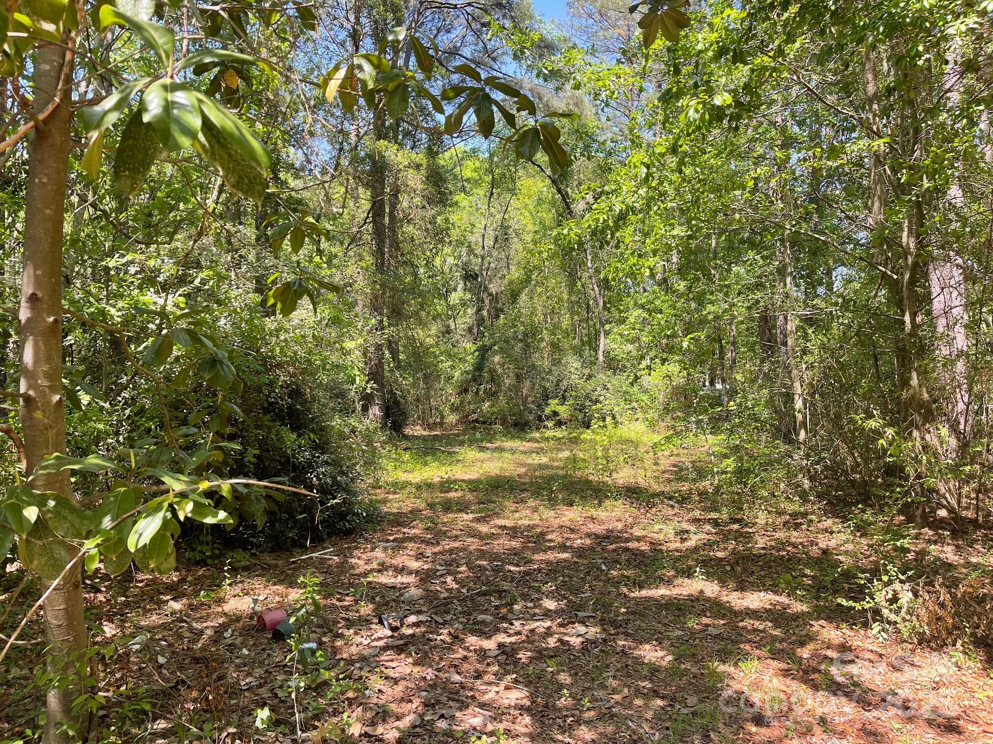 383 Isgett Circle Cheraw, SC 29520 - Photo 16 of 32
