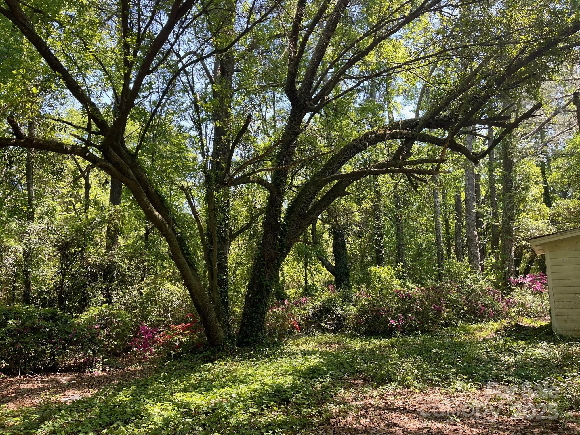 383 Isgett Circle Cheraw, SC 29520 - Photo 20 of 32