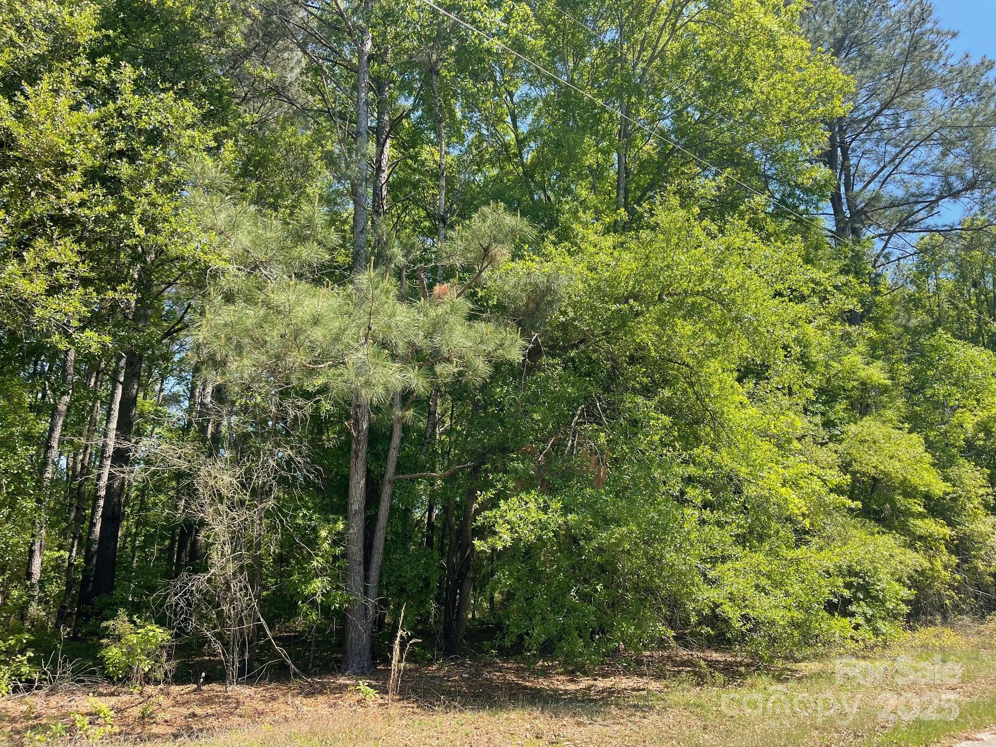 383 Isgett Circle Cheraw, SC 29520 - Photo 31 of 32