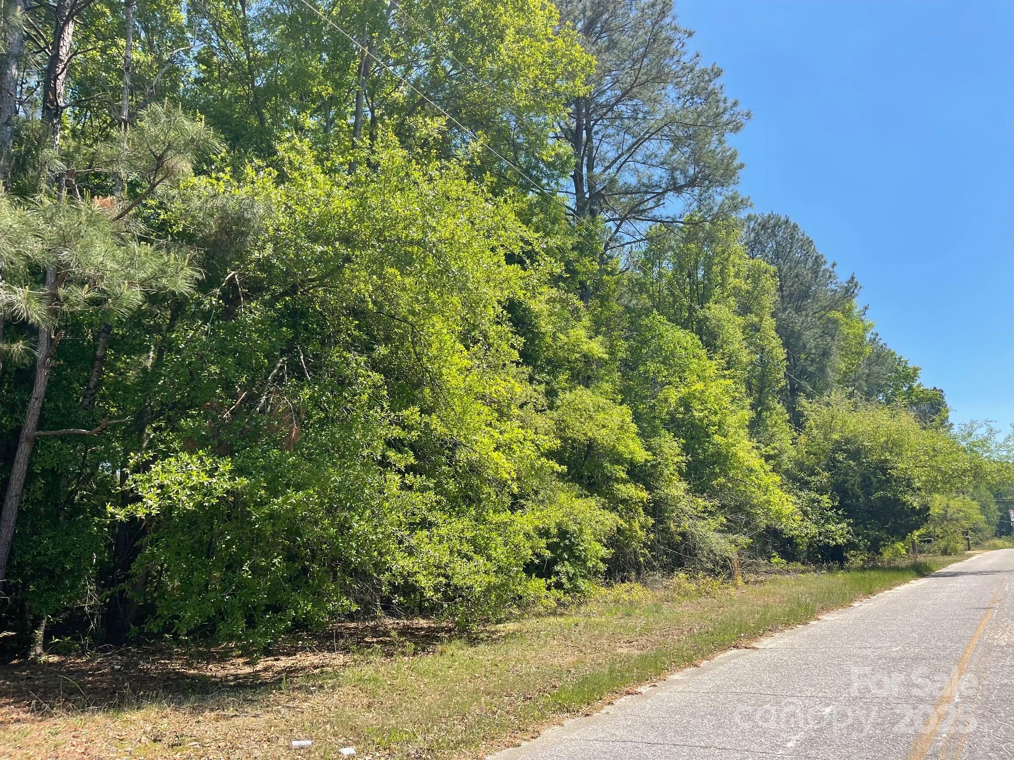 383 Isgett Circle Cheraw, SC 29520 - Photo 32 of 32