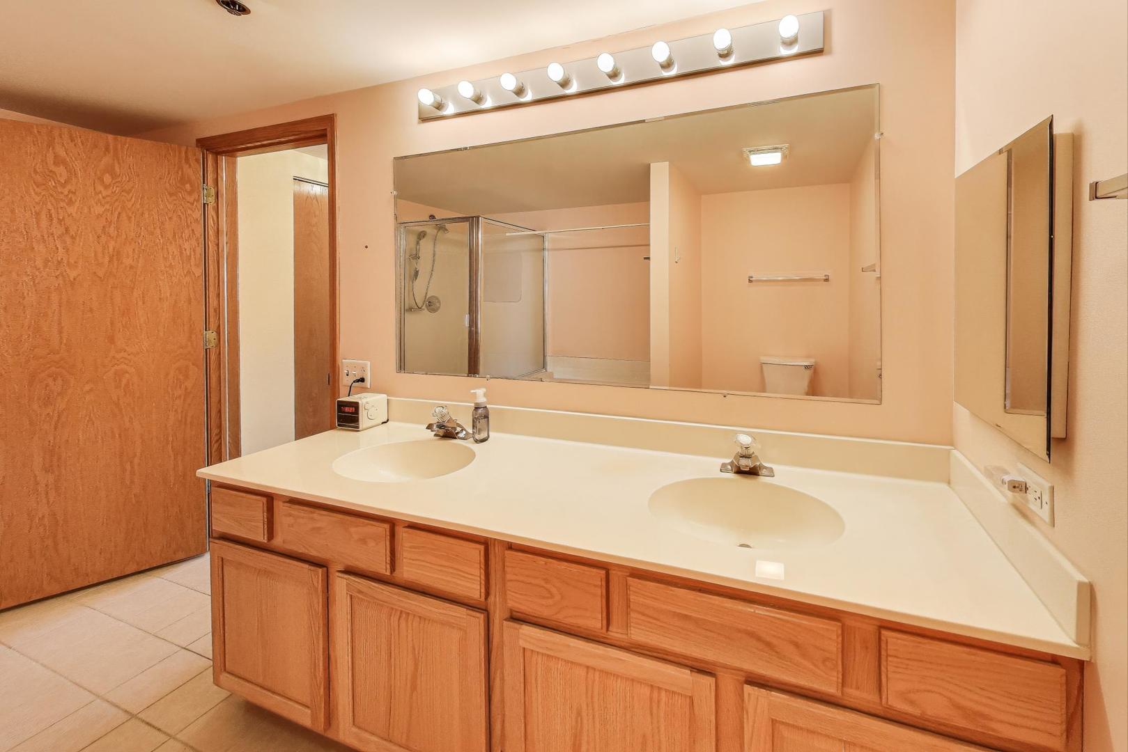 1200 South Prospect Avenue, Unit 108 Elmhurst, IL 60126 - Photo 15 of 19 a bathroom with a sink and a mirror