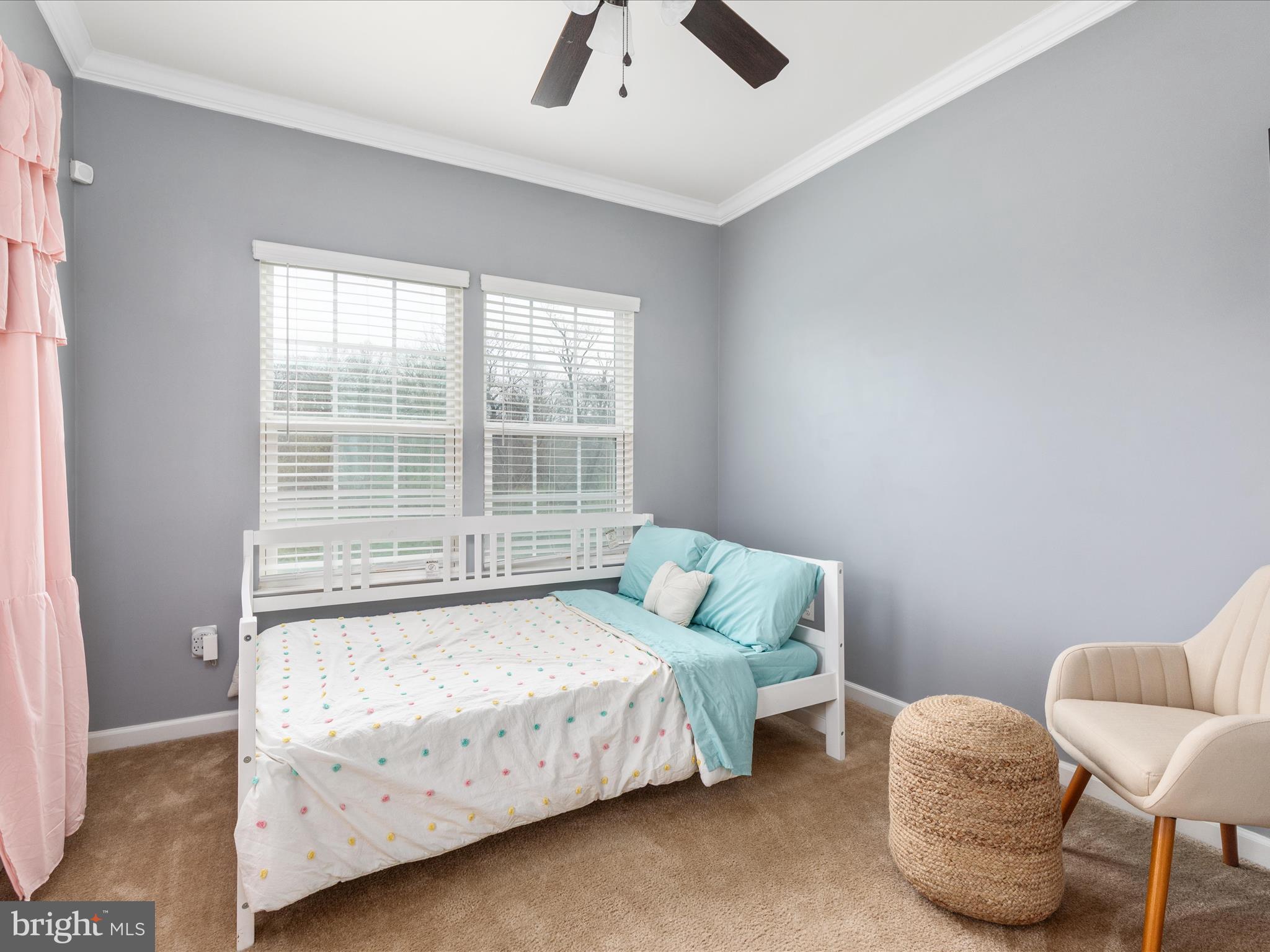 114 Pinwheel Court Stephenson, VA 22656 - Photo 3 of 58 2E6A5535_114 Pinwheel Ct - Absolute Altitude - 4 -