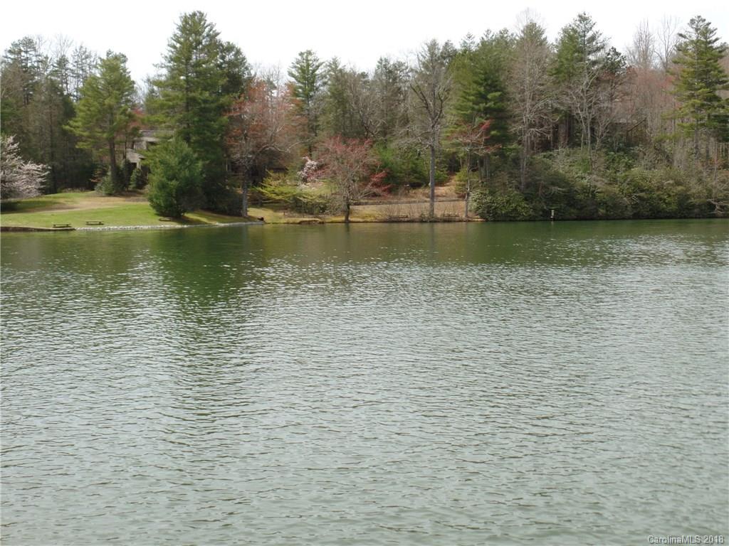 73 Ridgetop Circle, Unit 101 Brevard, NC 28712 - Photo 14 of 21 Gallery Image 14