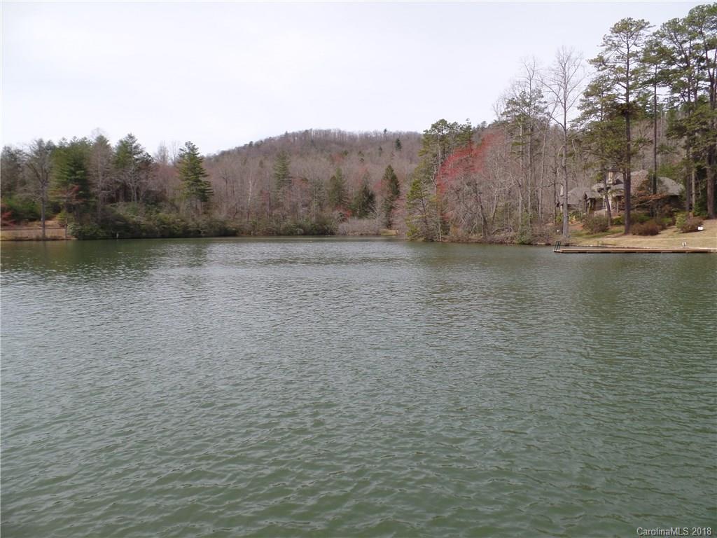 73 Ridgetop Circle, Unit 101 Brevard, NC 28712 - Photo 15 of 21 Gallery Image 15